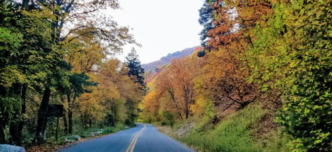 Road winding through fall forest. The leaves of the trees are green, orange, red, and yellow.