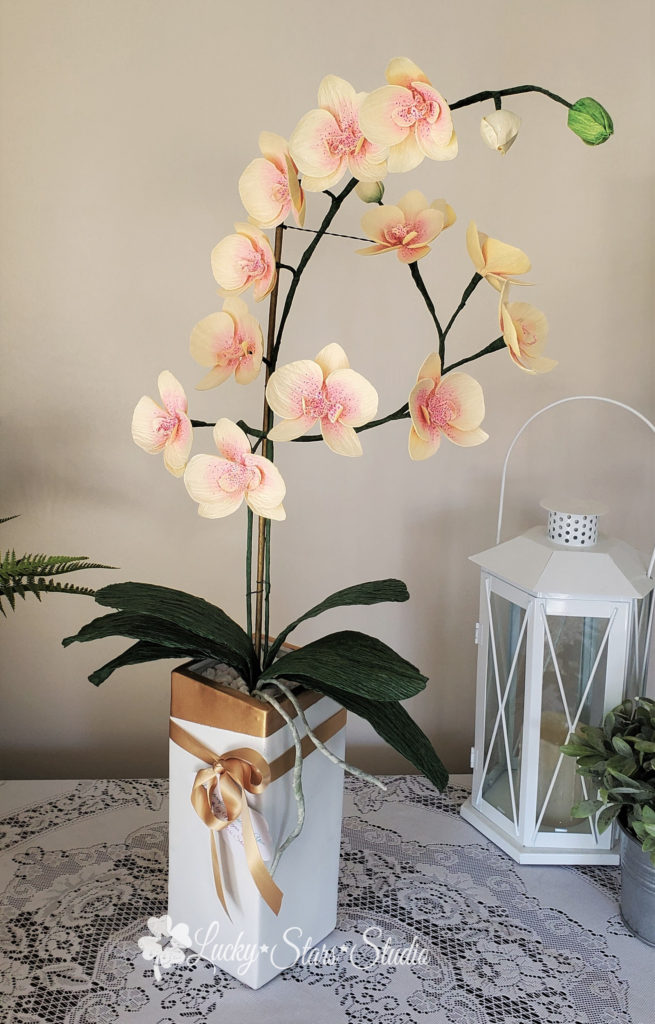 Cream Crepe Paper Moth Orchid