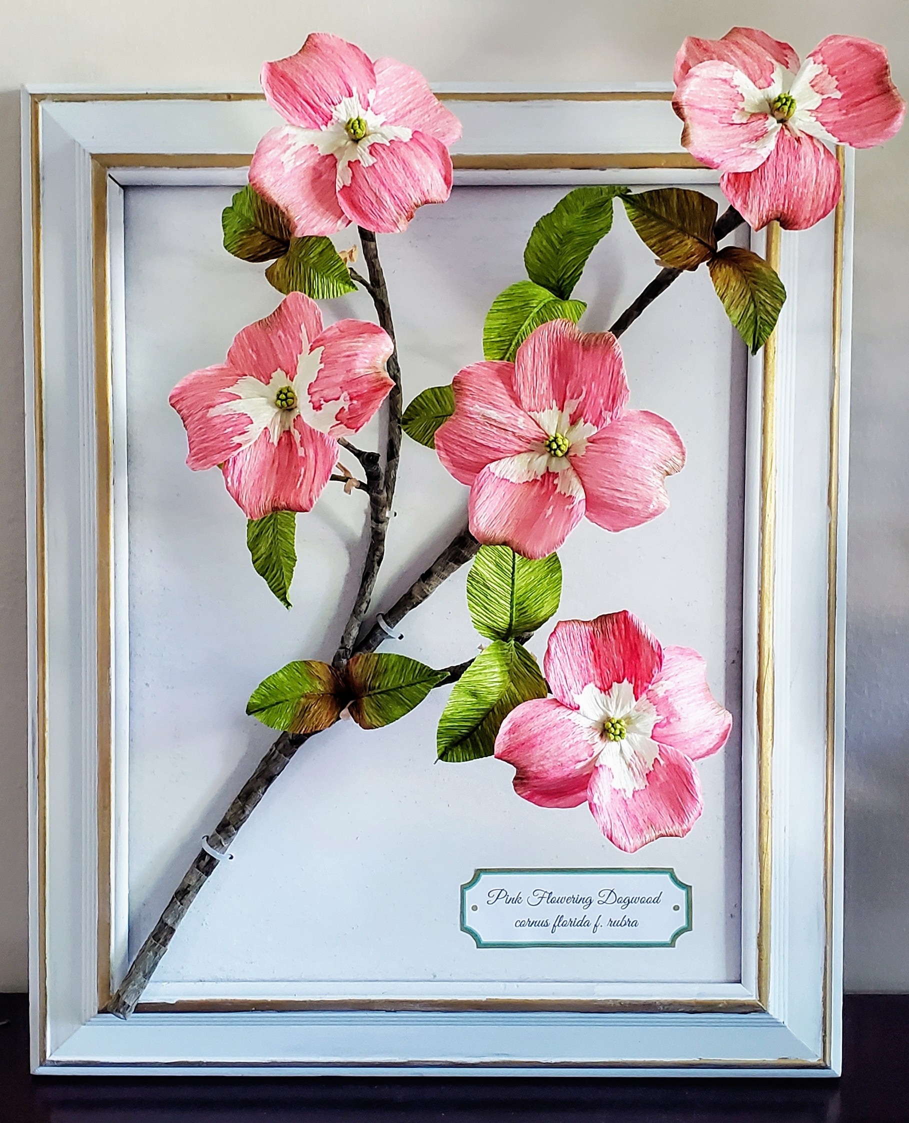 Framed Dogwood Branch Portfolio Photo