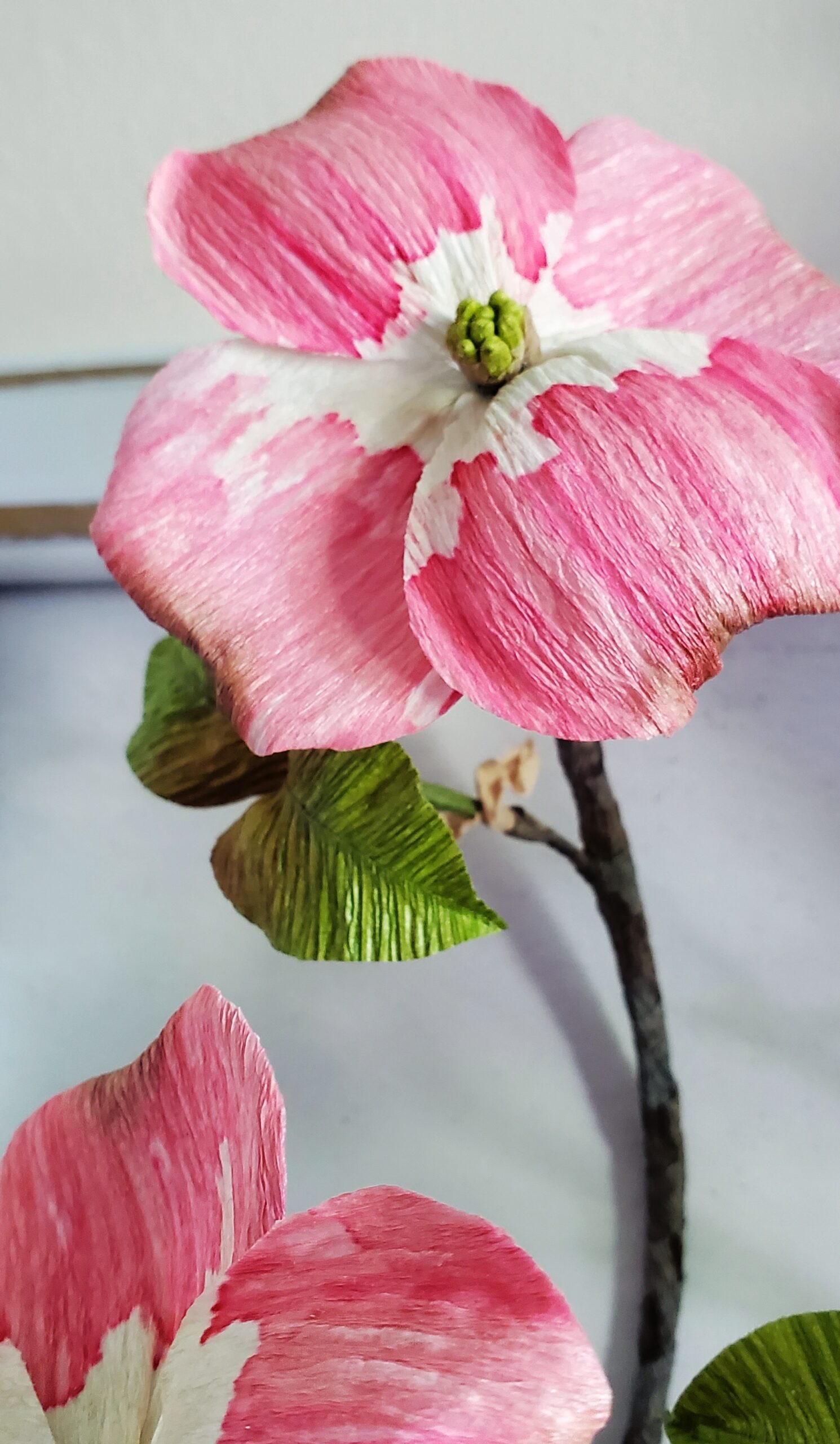 Framed Dogwood Branch