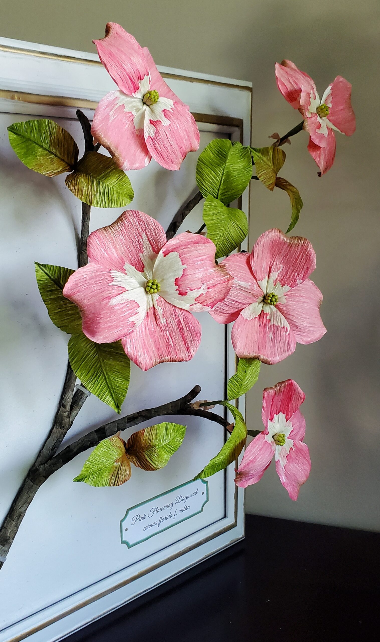 Framed Dogwood Branch Portfolio Photo