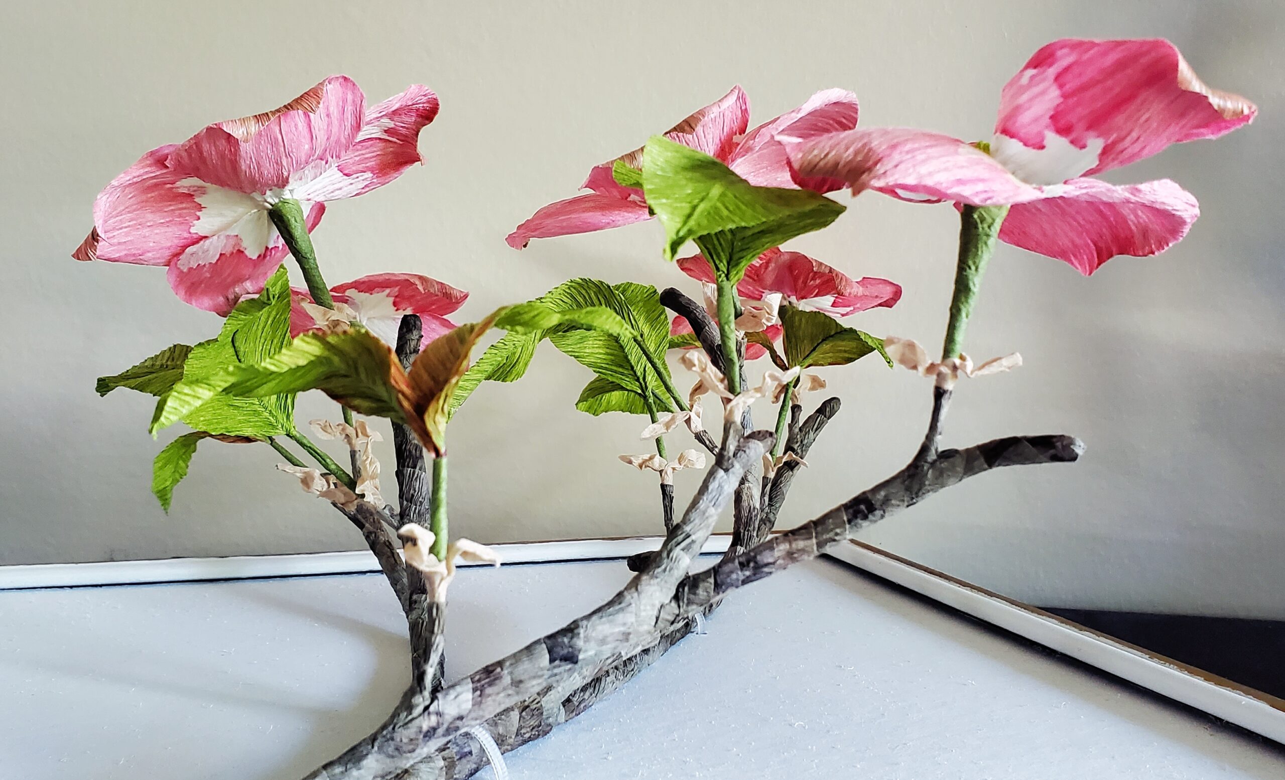 Framed Dogwood Branch