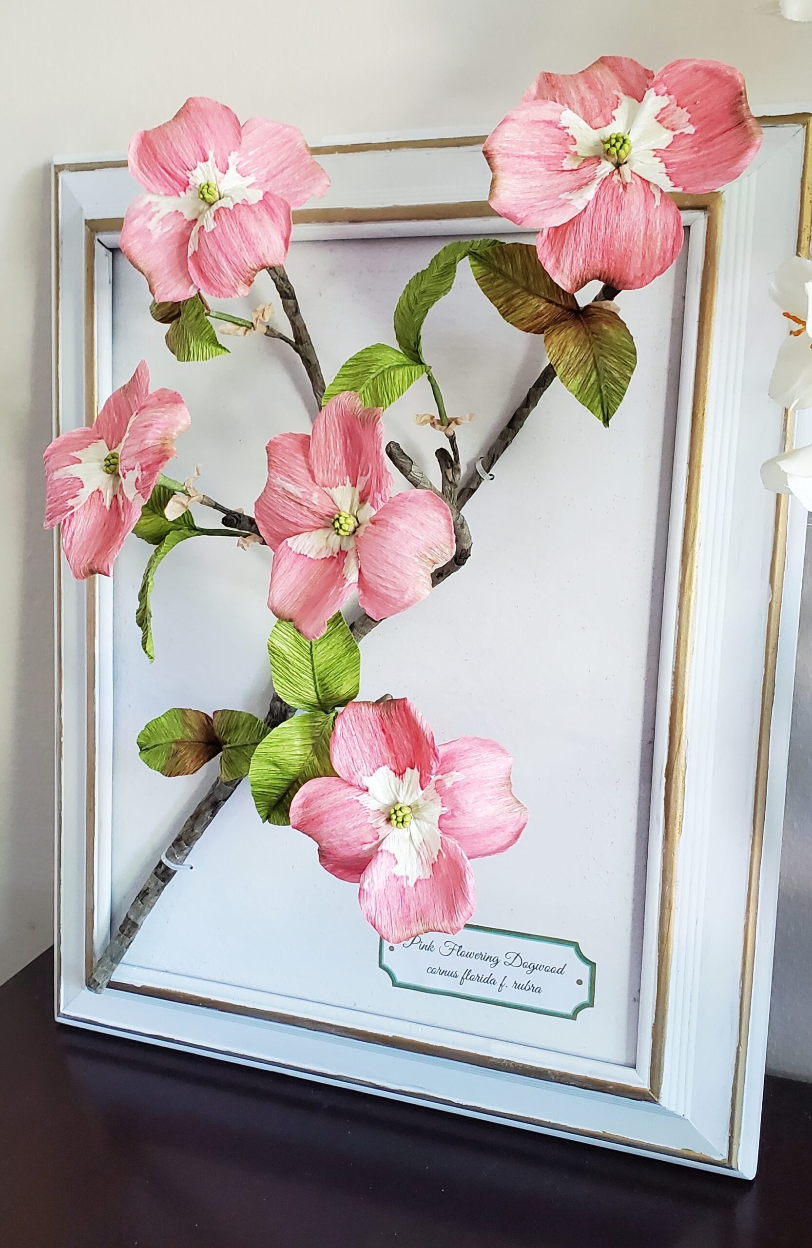 Framed Dogwood Branch Portfolio Photo