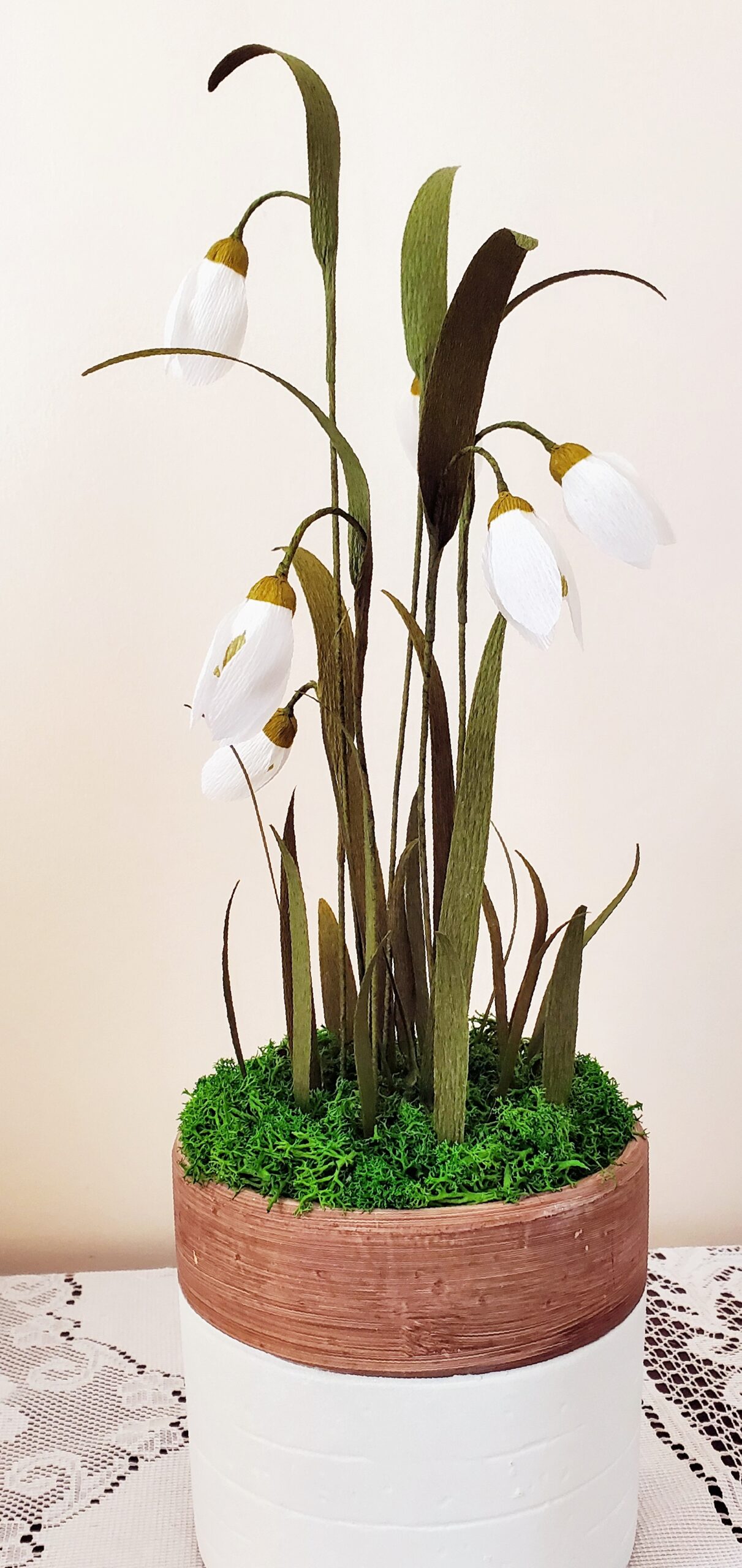 Potted Snowdrops