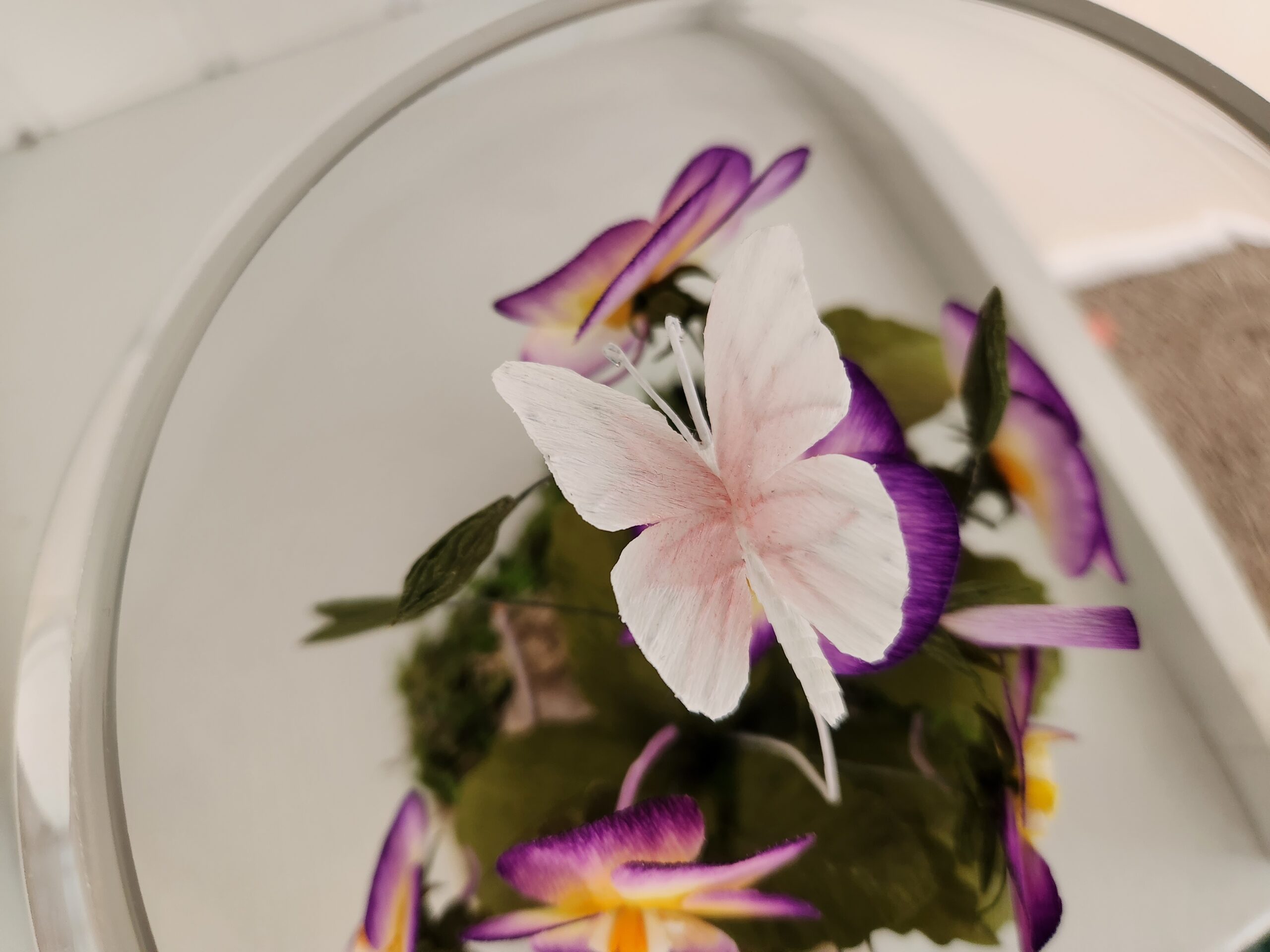 Potted Violets in a Terrarium with a Butterfly