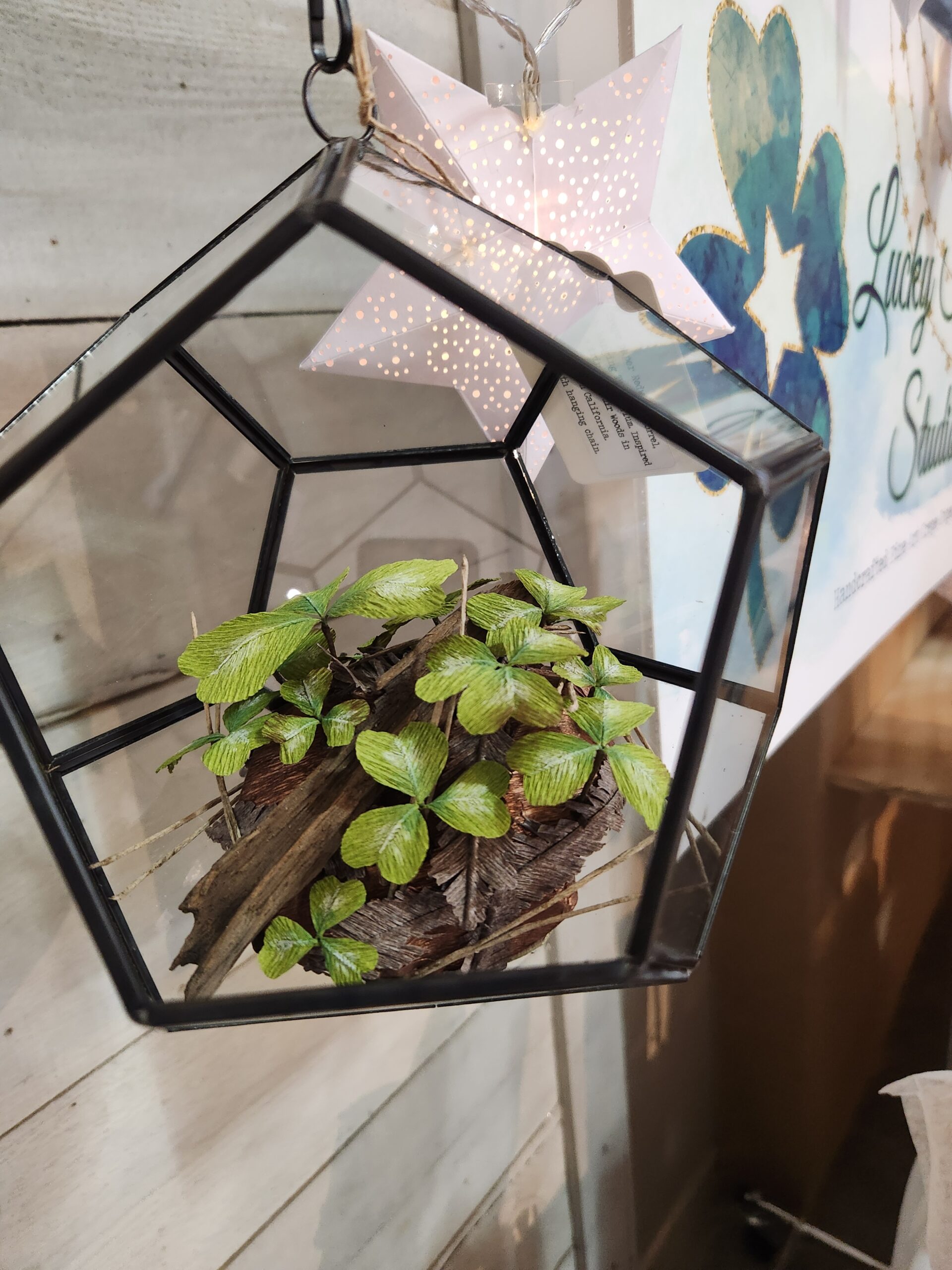 Redwood Sorrel 8-inch Hanging Terrarium