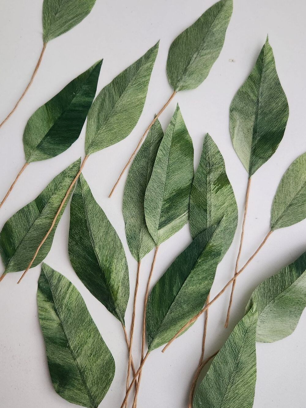 paper leaves of various shades of green lay scattered on a white background